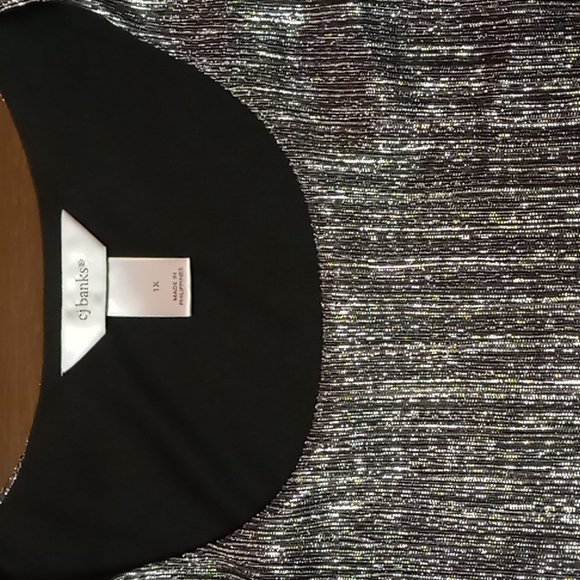 CJ Banks Silver Shimmer Blouse with Front Bottom Ruffles Size 1X - Picture 5 of 5